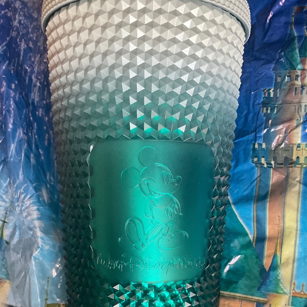 Disney world park Starbucks tumbler / Christmas